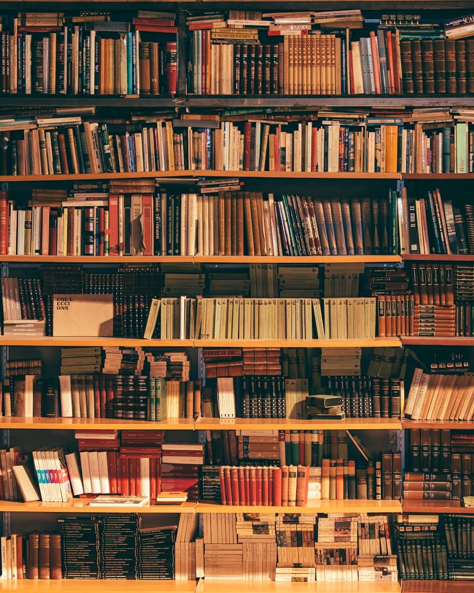 A library reading room with tall shelves